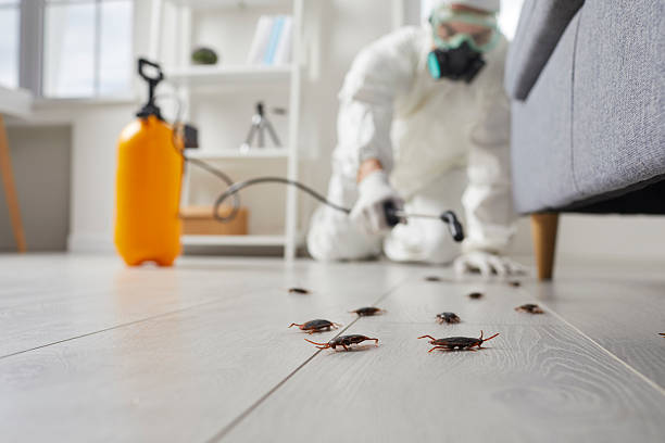 Commercial Kitchen Cockroach Control in Manhattan
